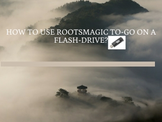 How to use RootsMagic To-Go on a flash-drive?