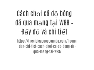 Cách chơi cá độ bóng đá qua mạng tại W88 – Đầy đủ và chi tiết