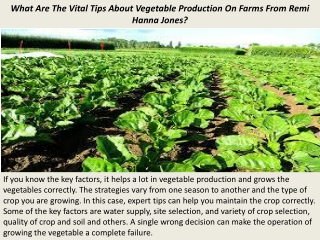 What Are The Vital Tips About Vegetable Production On Farms From Remi Hanna Jones?