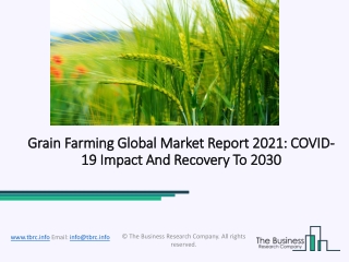 Grain Farming Market Growth Analysis, Latest Trends And Business Opportunity 2021 To 2030