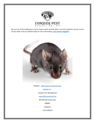 Pest Control Singapore | Conquer Pest