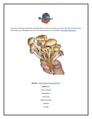 Mail Order Mushrooms | Shroomworld.cc