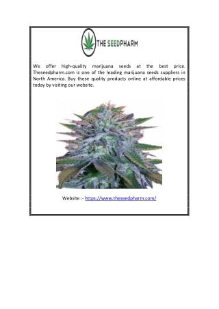 Cannabis Seeds for Sale | Theseedpharm.com