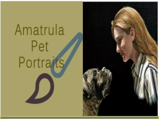 Pet Portraits from Photo