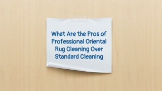 What Are the Pros of Professional Oriental Rug Cleaning Over Standard Cleaning?