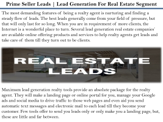 Prime Seller Leads Reviews - Lead Generation for Real Estate Segment