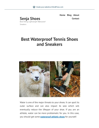 Best Waterproof Tennis Shoes and Sneakers