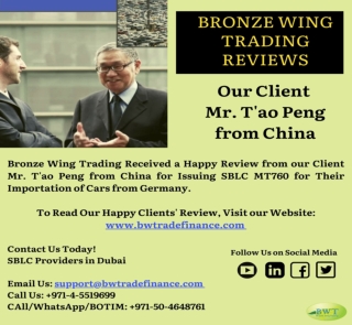 Infographics on Bronze Wing Trading Review from Mr. T’ao Peng