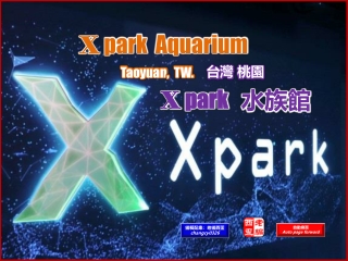 Xpark Aquarium, Taoyuan TW. (台灣 桃園 Xpark 水族館)