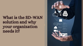 What is the SD-WAN solution and why your organization needs it?