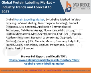 Protein labelling market