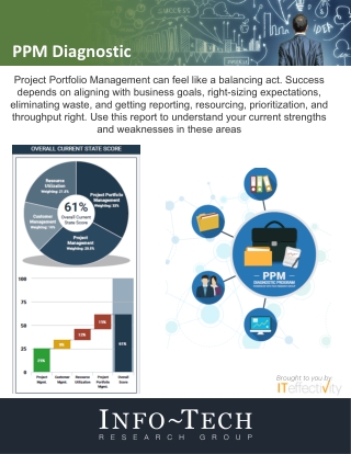 Project Portfolio Management Diagnostic - ITeffectivity