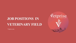 Job Positions In Veterinary Field
