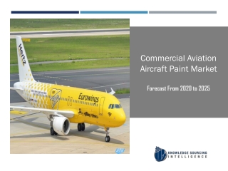 Commercial Aviation Aircraft Paint Market to be Worth US$115.462 million by the year 2025