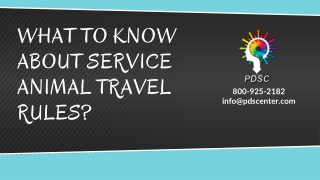 What to know about service animal travel rules?