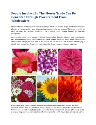 People Involved In The Flower Trade Can Be Benefited through Procurement From Wholesalers