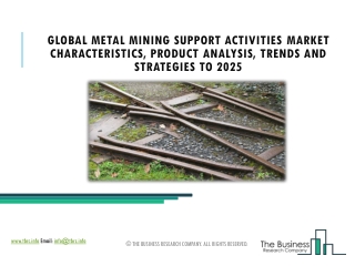 Metal Mining Support Activities Market Overview And Detailed Research