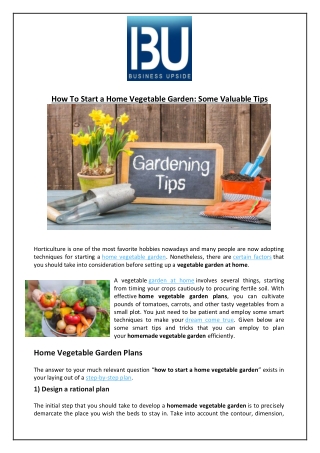 How To Start a Home Vegetable Garden: Some Valuable Tips