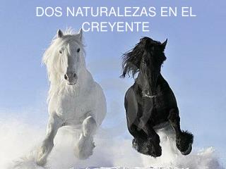 DOS NATURALEZAS EN EL CREYENTE