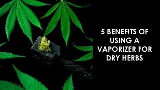 5 BENEFITS OF USING A VAPORIZER FOR DRY HERBS