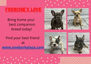 Frenchie'Ss Love!