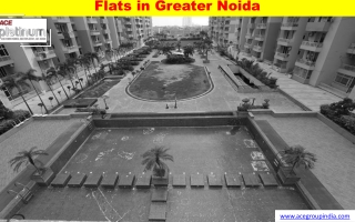 Flats in Greater Noida - Ace Platinum