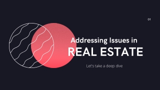 Issues in Real Estate Sector