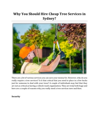 Why You Should Hire Cheap Tree Services in Sydney?