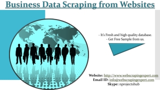 Business Data Scraping from Websites