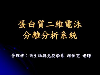 蛋白質二維電泳 分離分析系統