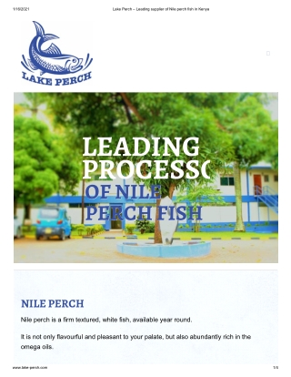 Get the Best Fresh Nile Perch Fish at Lake Perch