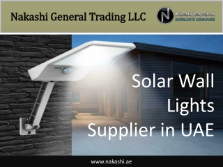 LED Wall Lights Supplier in UAE
