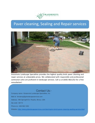 Paver cleaning, Sealing and Repair services