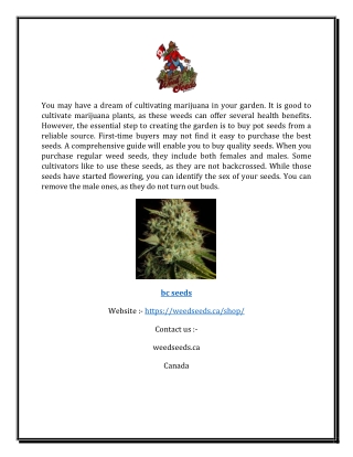 BC Seeds | Weedseeds.ca