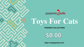 Toys For Cats Online at ShoppySanta