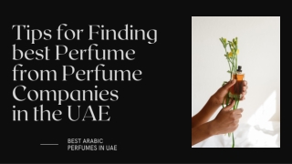 Tips for Finding best Perfume from Perfume Companies in the UAE