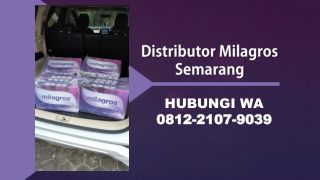 SIAP KIRIM! WA 0812-2107-9039, Agen Resmi&Distributor Milagros Semarang