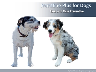 Buy Frontline Plus Best Flea Treatment for Dogs at best price in Australia - VetSupply