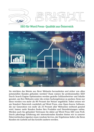 SEO für Word Press- Qualität aus Österreich