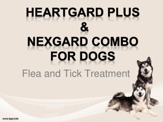 Buy Heartgard and Nexgard Combo for Dogs at best price in Australia - VetSupply
