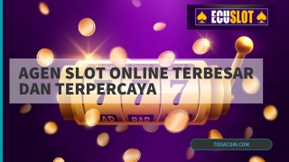 Cas!n0 Online