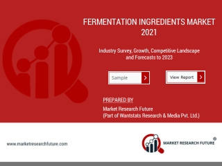 Fermentation Ingredients Market