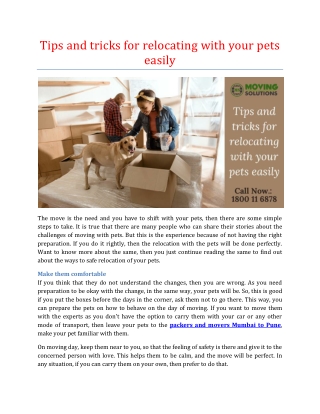 Tips and tricks for relocating with your pets easily