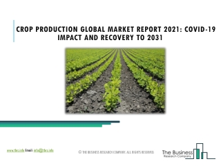 Crop Production Market Latest Trends and Opportunities Analysis Report Forecast To 2025