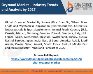 Oryzanol Market Size, Reports, Demands, Share - Forecast 2027