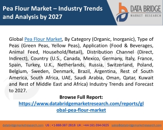 Pea Flour Market Share, CAGR, Industry Growth, Challenges - Forecast 2027