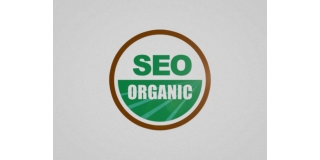 What Is Organic SEO