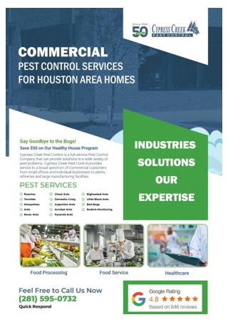 Houston Ant Control | Houston Carpenter Ant Control