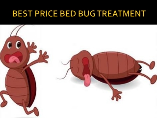 A renewed solution:  Chemical free bed bug treatment