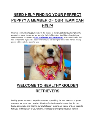 NEED HELP FINDING YOUR PERFECT PUPPY?